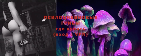 соль ск Новозыбков