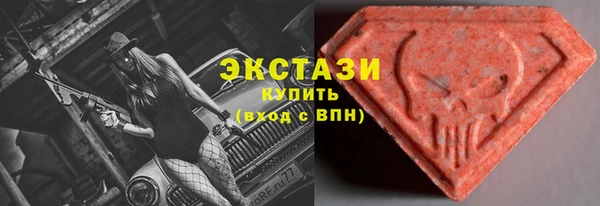 соль ск Новозыбков
