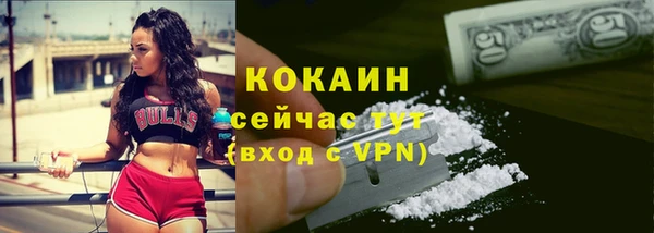 соль ск Новозыбков