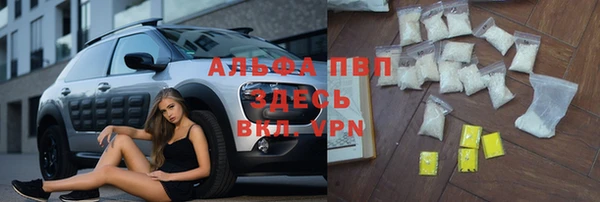 соль ск Новозыбков