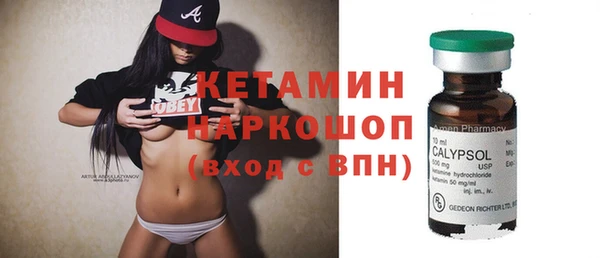 соль ск Новозыбков