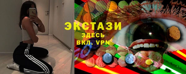 соль ск Новозыбков