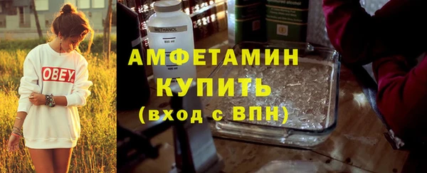 соль ск Новозыбков