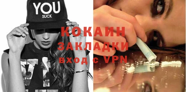 соль ск Новозыбков