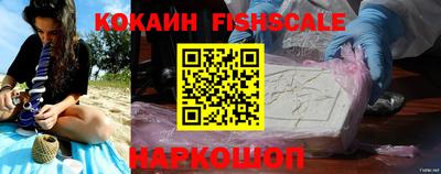 эйфоретик Кимры