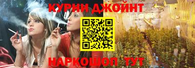 спиды Бийск