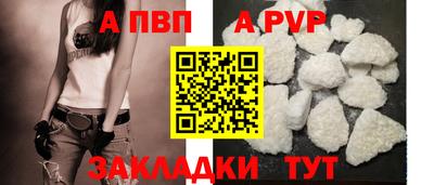 таблы Кингисепп