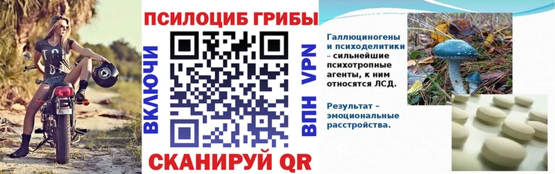 Псилоцибиновые грибы Psilocybine cubensis  mega tor  Новотроицк 