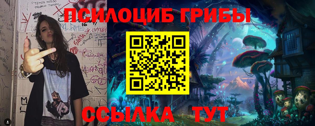 Псилоцибиновые грибы мухоморы  Галлюциногенные грибы мухоморы  Новотроицк 