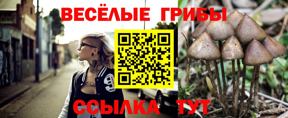 даркнет сайт  Псилоцибиновые грибы Cubensis  Вход с VPN  Новотроицк 