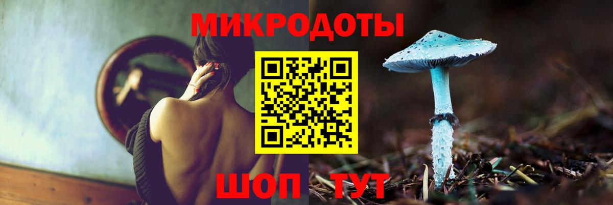 Галлюциногенные грибы Psilocybe Новотроицк