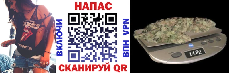 где купить наркоту  Новотроицк  Канабис индика 